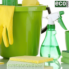 Cleaning Chemicals & Disinfectants